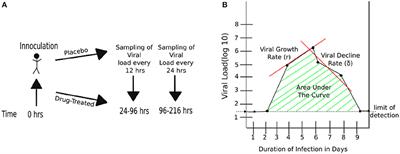 Impact of Oseltamivir Treatment on Influenza A and B Virus Dynamics in Human Volunteers